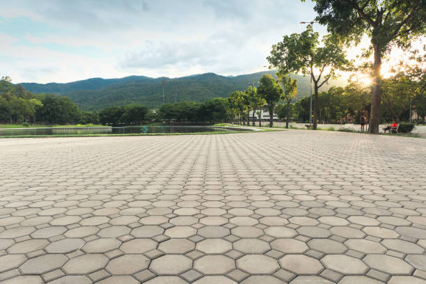 Best Driveway Paving Contractor  in Lamont, CA